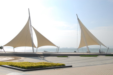 家中放什么花最旺宅（盘点九种旺财又旺宅的植物）