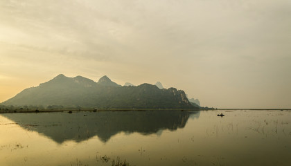 家中放什么花最旺宅（盘点九种旺财又旺宅的植物）