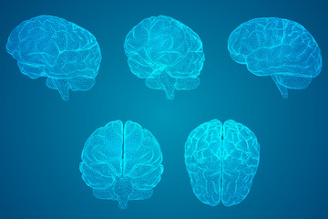 初中必读的经典科普读物