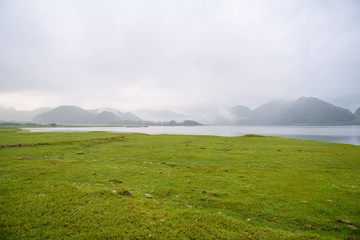 花卉是什么意思