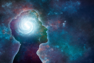 花卉是什么意思