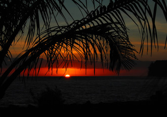 bbc纪录片在哪看免费