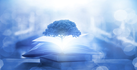 保护环境手抄报简单好看精选