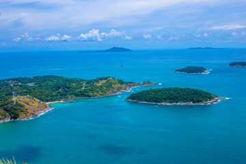 家中放什么花最旺宅（盘点九种旺财又旺宅的植物）