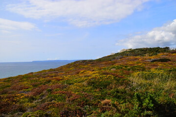 保护环境手抄报简单好看精选