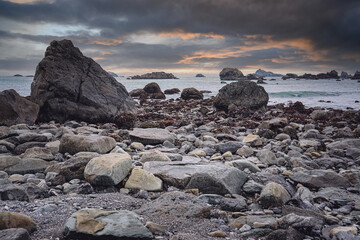 现代诗歌精选（二十篇）