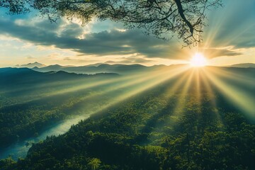 大型猫科动物有哪些