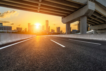 大型猫科动物有哪些