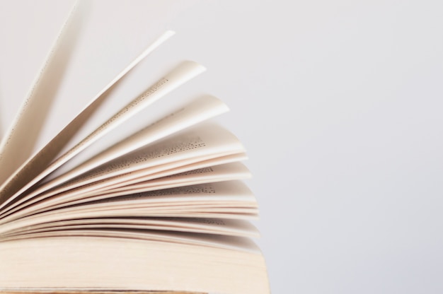 家中放什么花最旺宅（盘点九种旺财又旺宅的植物）