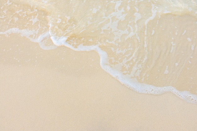 花卉是什么意思