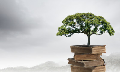 bbc纪录片在哪看免费