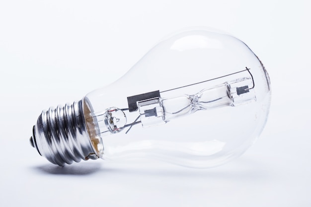 大型猫科动物有哪些