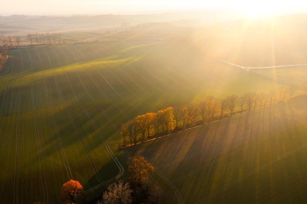 五年级下册科学题现在的家鸡是怎么来的-