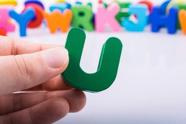 家中放什么花最旺宅（盘点九种旺财又旺宅的植物）