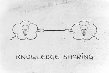 大型猫科动物有哪些