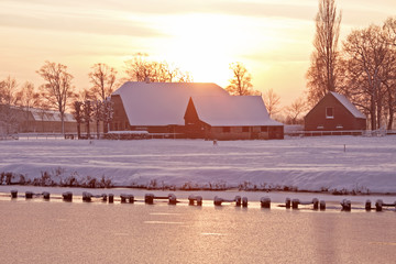 花卉是什么意思